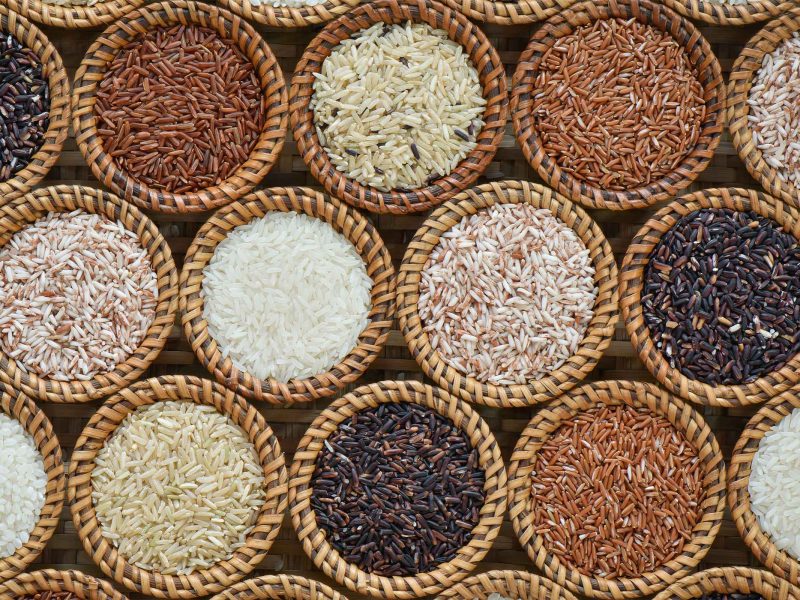 Can-coloured-rice-help-people